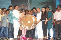 Prabhanjanam Audio Launch